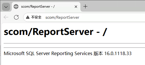 SSRS Web Portal 示例页面