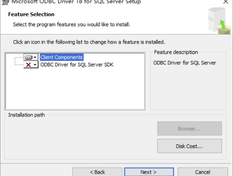 ODBC Driver 默认设置 Next
