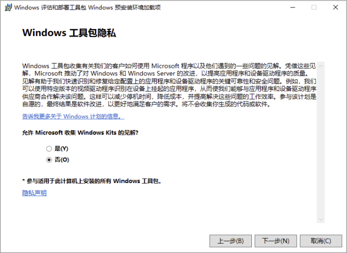 Windows PE 隐私选项：否